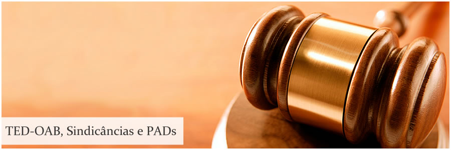 TED-OAB, Sindicâncias e PADs